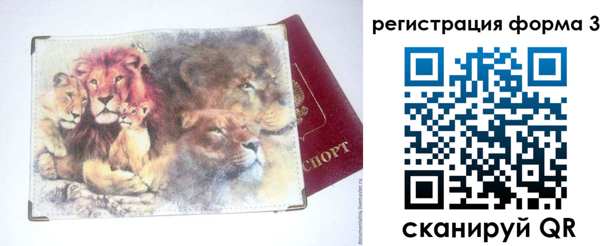 прописка в квартире в Заинске